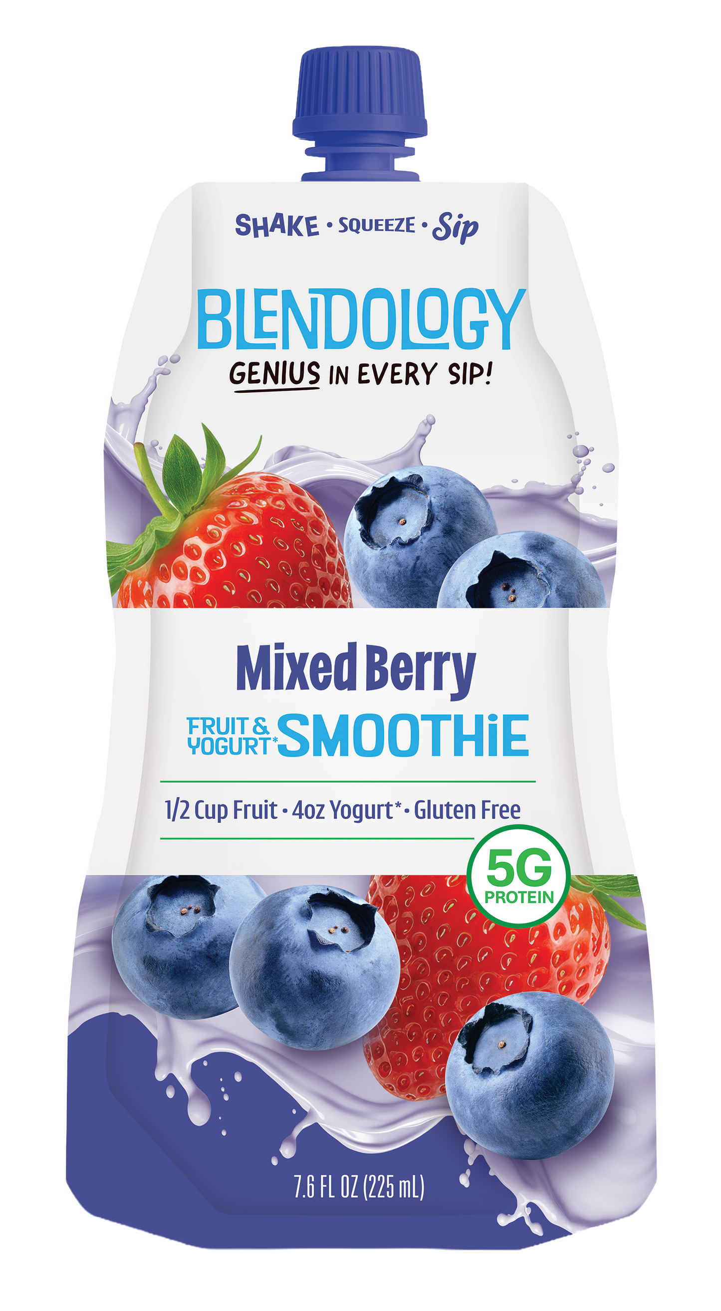 Blendology Yogurt & Fruit Smoothie Pouches