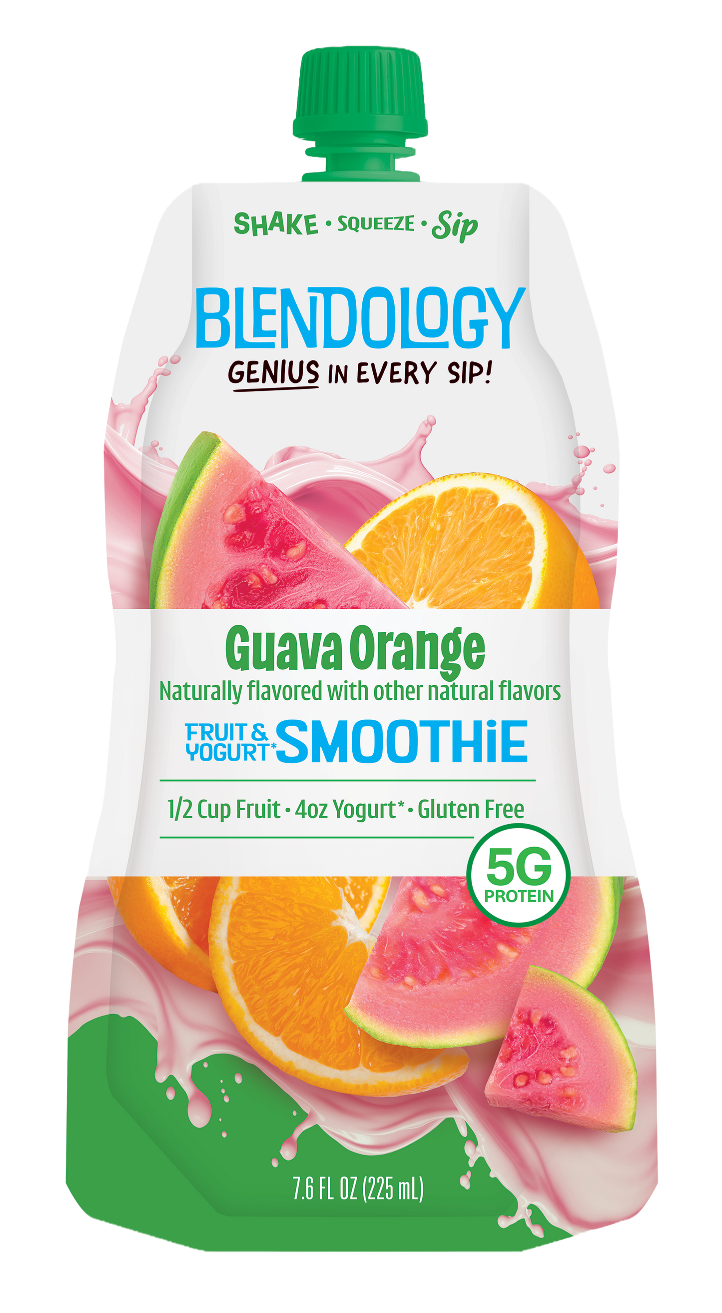 Blendology Yogurt & Fruit Smoothie Pouches
