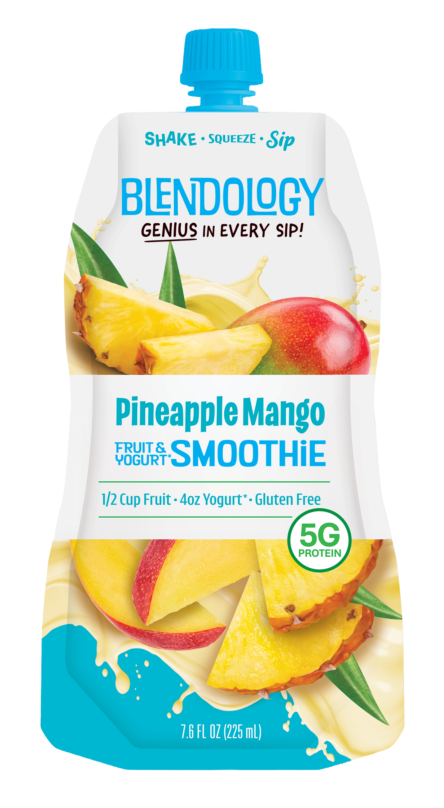 Blendology Yogurt & Fruit Smoothie Pouches